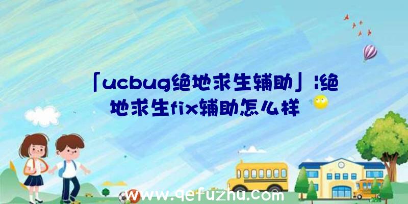 「ucbug绝地求生辅助」|绝地求生fix辅助怎么样